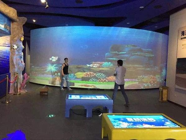 畫畫水族館11